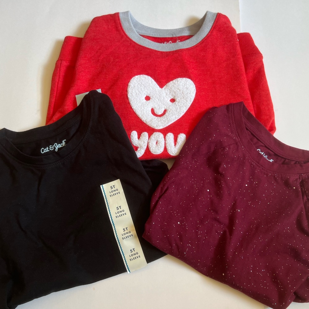 5T Girls Mini Shirt Bundle